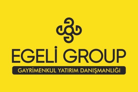 AYDIN/EFELER/KARAKÖY’DE/SATILIK 12,5 DÖNÜM ZEYTİNLİK ARAZİ