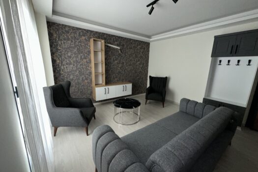 EFELER/KİRALIK SIFIR EŞYALI TERASLI DUBLEKS 3+1 DAİRE