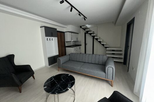 EFELER/KİRALIK SIFIR EŞYALI TERASLI DUBLEKS 3+1 DAİRE