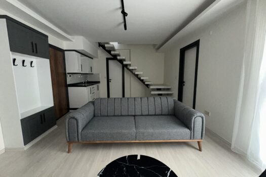 EFELER/KİRALIK SIFIR EŞYALI TERASLI DUBLEKS 3+1 DAİRE