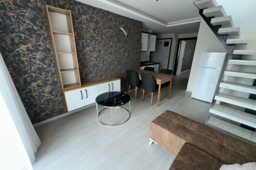 EFELER/KİRALIK SIFIR EŞYALI TERASLI DUBLEKS 3+1 DAİRE