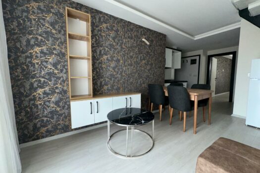EFELER/KİRALIK SIFIR EŞYALI TERASLI DUBLEKS 3+1 DAİRE