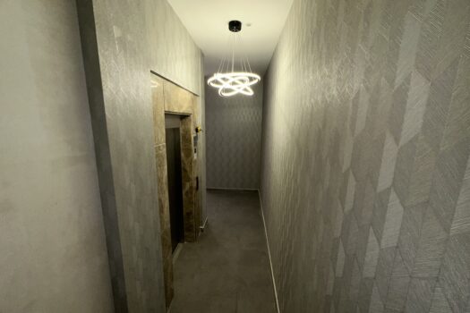 AYDIN EFELER/KİRALIK ULTRA LÜKS SIFIR+ EŞYALI 1+1 DAİRE