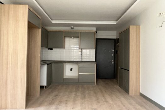 AYDIN ZAFER PINARBAŞINDA SIFIR KİRALIK 1+1 DAİRE/HAVUZ/SAHUNA/FİTNESS/PEYZAJ