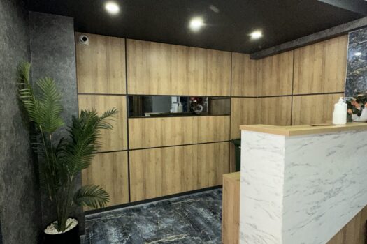 AYDIN-EFELER’DE/LÜKS SATILIK EŞYALI 1+1 DAİRE