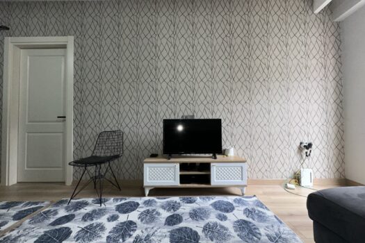AYDIN-EFELER’DE/LÜKS SATILIK EŞYALI 1+1 DAİRE