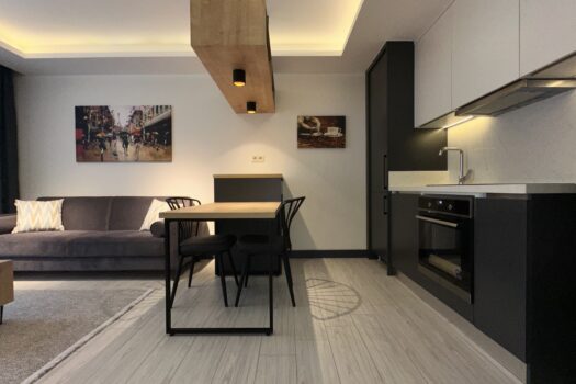 AYDIN EFELER/KİRALIK ULTRA LÜKS SIFIR+ EŞYALI 1+1 DAİRE