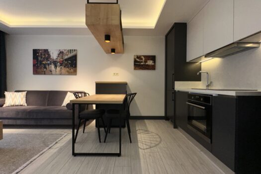 AYDIN EFELER/KİRALIK ULTRA LÜKS SIFIR+ EŞYALI 1+1 DAİRE