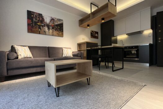 AYDIN EFELER/KİRALIK ULTRA LÜKS SIFIR+ EŞYALI 1+1 DAİRE
