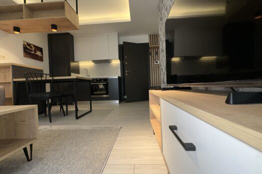 AYDIN EFELER/KİRALIK ULTRA LÜKS SIFIR+ EŞYALI 1+1 DAİRE