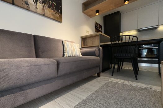 AYDIN EFELER/KİRALIK ULTRA LÜKS SIFIR+ EŞYALI 1+1 DAİRE