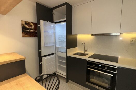 AYDIN EFELER/KİRALIK ULTRA LÜKS SIFIR+ EŞYALI 1+1 DAİRE