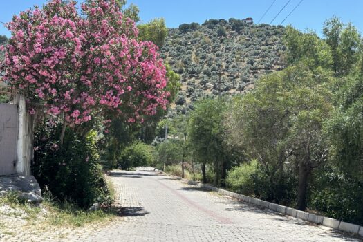 KOÇARLIDA VİLLA İMARLI SATILIK 584 M2 ARSA